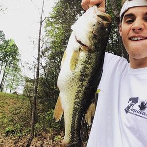 Meet your Posher, Riley